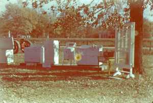 031201 County Fair in Bradley 47 B